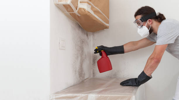 Professional Bathroom Mold Removal technician working in Cedar, MI